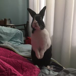 Meet your Posher, Mei